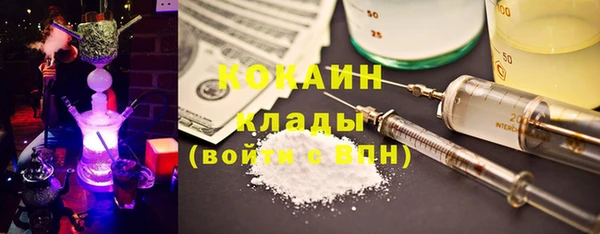 дмт Богородицк