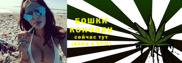 ECSTASY Богданович