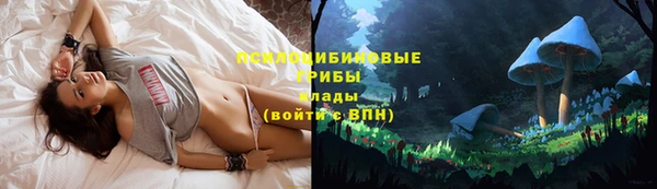 мдма Богородск