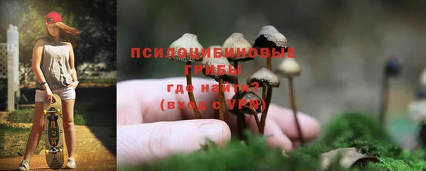 дмт Богородицк