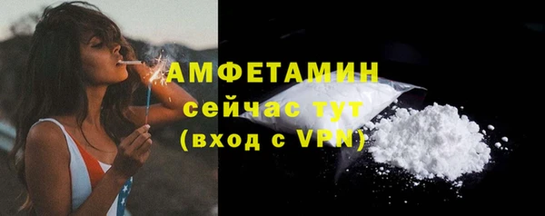 ECSTASY Богданович