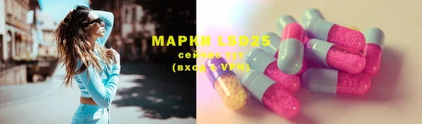 дмт Богородицк