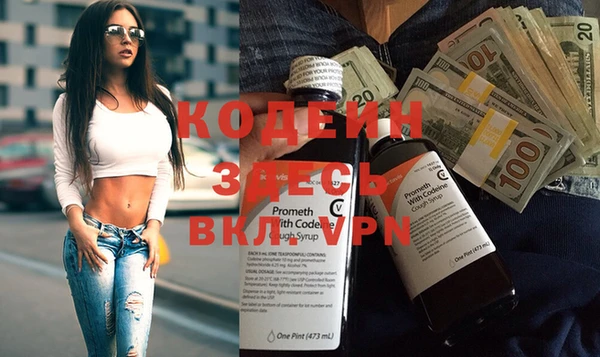ECSTASY Богданович