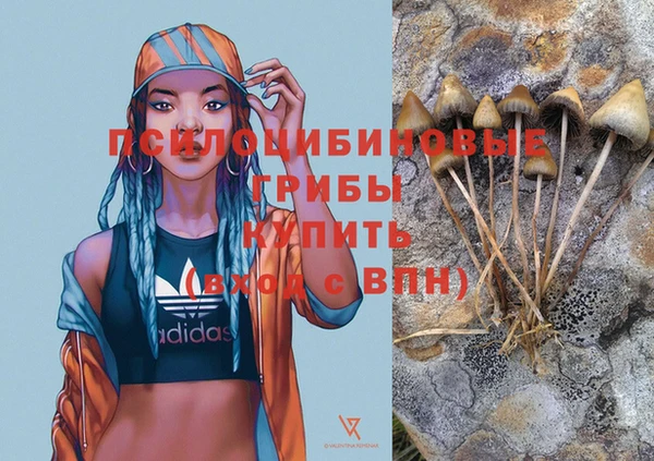ECSTASY Богданович