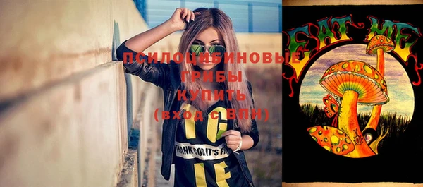 ECSTASY Богданович