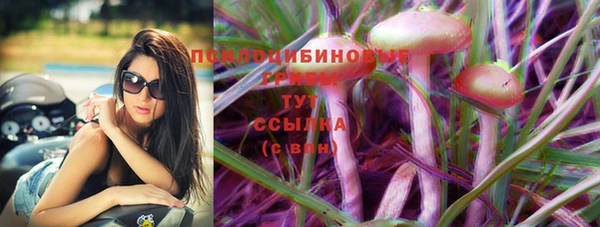 дмт Богородицк