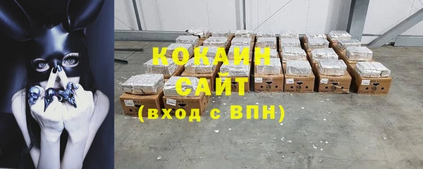 ECSTASY Богданович