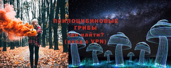 дмт Богородицк