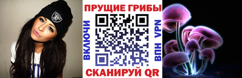 Галлюциногенные грибы Psilocybe  Купить  Абакан 